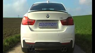 BMW 428i Eisemann Duplex Sportauspuff Abfahrt [upl. by Hausmann]