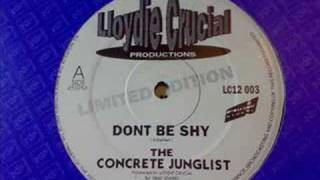 the concrete junglist  dont be shy  94 jungle  lc12003 [upl. by Ecinerev]