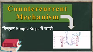 Countercurrent Mechanism Complete concept [upl. by Yesima]