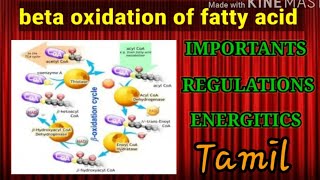 Beta oxidation of fatty acid [upl. by Neelav700]