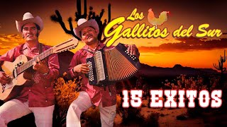 Los Gallitos Del Sur  15 Rancheras Viejitas Album Completo [upl. by Easton157]