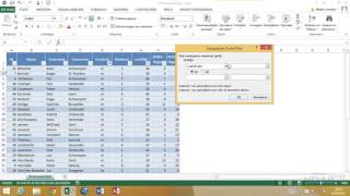 Excel 2013  Dataanalyse  18 Filteren met functies [upl. by Marysa347]