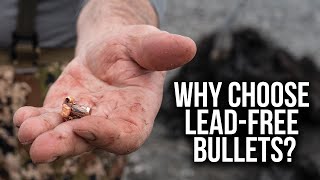 Lead Free Bullets For Hunting  Bulls Bullets and Ballistics with NOSLER [upl. by Noirda445]