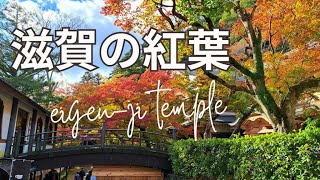 【紅葉🍁2023】滋賀の紅葉を楽しむ 永源寺（東近江市） 道の駅 奥永源寺渓流の里 [upl. by Autum375]