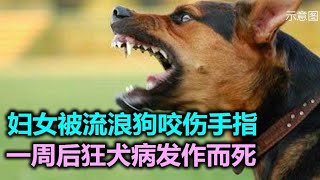 Know more Rabies了解更多狂犬病瘋狗症國語版本 [upl. by Horatio]