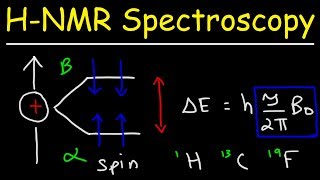 Basic Introduction to NMR Spectroscopy [upl. by Swanson178]