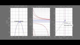 What is a Transcritical Bifurcation [upl. by Airdnazxela]