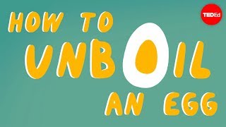 How to unboil an egg  Eleanor Nelsen [upl. by Eikcid]