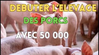 comment se lancer facilement dans lélevage des porcs avec 50 000 [upl. by Aridnere]