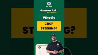 Growers Ask What is Crop Steering [upl. by Warila589]