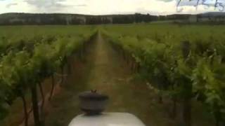 Grapevine spraying at Canowindra NSW Australia [upl. by Athey95]