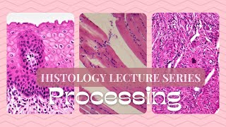 ProcessingHistology Lecture Series [upl. by Dygall]