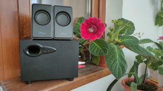 Trust Avora 21 usb speaker and subwoofer set review [upl. by Valaria903]