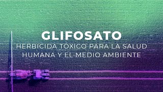 Glifosato herbicida tóxico para la salud humana y el medio ambiente [upl. by Haroved]