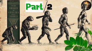 Human Evolution  Part 2  Charles Darwin evolution darwin [upl. by Roht]