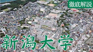 【新潟大学はやばい？】恥ずかしい？偏差値・評判・就職実績など [upl. by Rutger334]