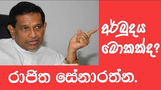 Rajitha Senaratne  Rajitha Senaratne speech in parliament [upl. by Hubey342]