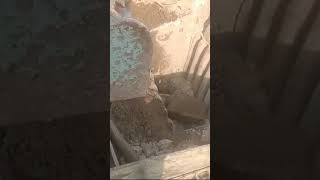 quotJaw Crusher Expartquot crushing stonecrushers heavy machinery 😱😱🔥rockcrusher viralvideo [upl. by Stanhope]