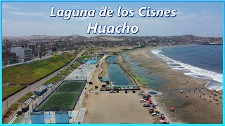 LAGUNA DE LOS CISNES en la PLAYA CHORRILLOS  HUACHO [upl. by Halimak123]