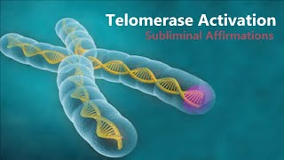 𝄞 Telomerase Activation  Telomere Rejuvenation for Eternal Youth V21  Classical Music [upl. by Kalinda64]