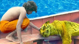 Life of Pi2012Full movie Explained in HindiUrdu Dubbedreal survivor movieAdventuretrailer [upl. by Auoy]