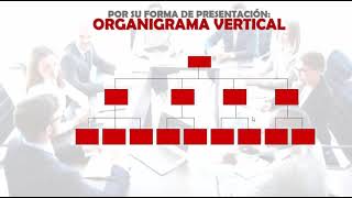 LOS ORGANIGRAMAS [upl. by Bakeman]