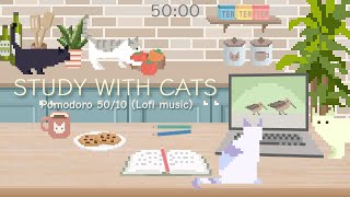 Study with Cats 🍅 Pomodoro timer 5010 x Animation  Studying at the kitchen table ♡  Lofi music [upl. by Nitsug]