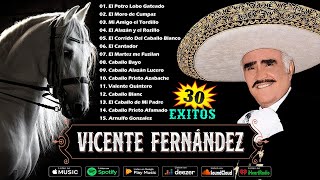 🔥 MIX VICENTE FERNANDEZ 🔥 CORRIDOS DE CABALLOS 🐴 30 EXITOS MEJORES CANCIONES MIX 🔥 [upl. by Peg]