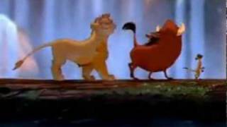 Hakuna Matata from The Lion King with LYRICS [upl. by Quartet]