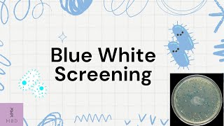 BLUE WHITE SCREENING  RDT  RECOMBINANT DNA TECHNOLOGY  BIOLOGY [upl. by Maher]