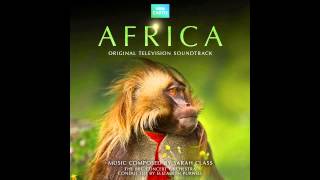 Africa BBC OST 06  Mystery Path [upl. by Anelra]