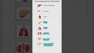 Name these Body Organs  Your English Companion [upl. by Whitaker]