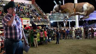 JARIPEO EN EL PABELLÓN DON VASCO DE MORELIA MICHOACAN 14 DE NOVIEMBRE DEL 2024 [upl. by Ronnie]