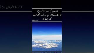 Surah talaq translation newmobile3689  vlogshorts qurantranslation food [upl. by Yam281]