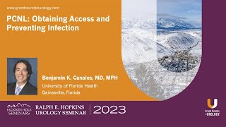 PCNL Obtaining Access and Preventing Infection [upl. by Higley]