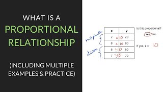 What is a Proportional Relationship  7th Grade  Mathcationcom [upl. by Thirza]