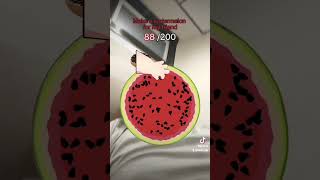 🇵🇸 Palestine 🇵🇸 Watermelon 133 Score [upl. by Livvi]