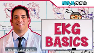 EKG Basics  How to Read amp Interpret EKGs Updated Lecture [upl. by Leund743]