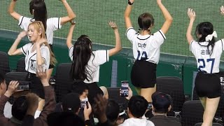 オーストラリアの日本人応援がエグい！台湾に同点！アジアプロ野球チャンピオンシップ2023 1119日東京ドーム [upl. by Anaibib431]