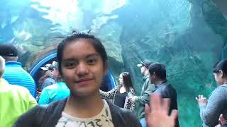 Family and Friends  Assiniboine Park Zoo [upl. by Celik642]