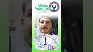 Dia do Médico Veterinário [upl. by Ness]