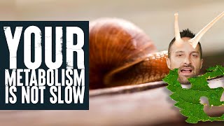 Your Metabolism is NOT slow  New Study Breakdown  Biolayne [upl. by Auston]