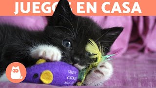 5 JUEGOS para ENTRETENER a tu GATO en CASA 🐱 [upl. by Edahs]