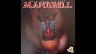 Mandrill Livin it up [upl. by Voe]