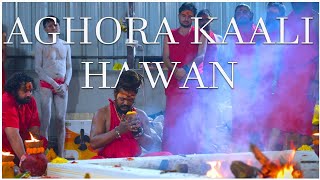 🔥🙏Maa Aghorakaali Dharshan and Hawan 🙏🔥 [upl. by Hoy616]