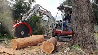 Ripping Hardwood Fenceposts  X07  18T Excavator [upl. by Lerej781]