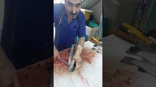 Practical tutorial on filleting trout fishcutting [upl. by Iaverne]