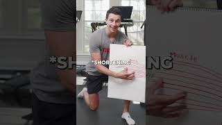 Build Tendon Strength with These Exercises [upl. by Zacharie52]