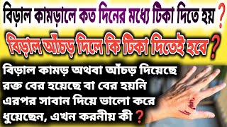 বিড়াল আঁচড় বা কামড় দিলে কি টিকা দিতে হবে❓  বিড়াল আঁচড় দিলে করনীয়  বিস্তারিত জেনে নিন [upl. by Ber867]