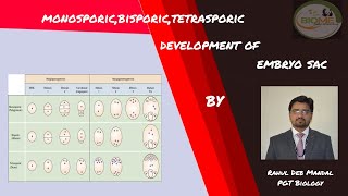 MonosporicBisporicTetrasporic Development of Embryo Sac Class XIIBy Rahul Sir Biome [upl. by Steel]